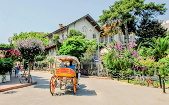 Horse-drawn carriage on a street in Buyukada, Princes Islands, Istanbul, with historic buildings and lush greenery.