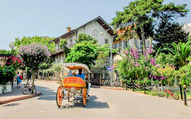 Horse-drawn carriage on a street in Buyukada, Princes Islands, Istanbul, with historic buildings and lush greenery.
