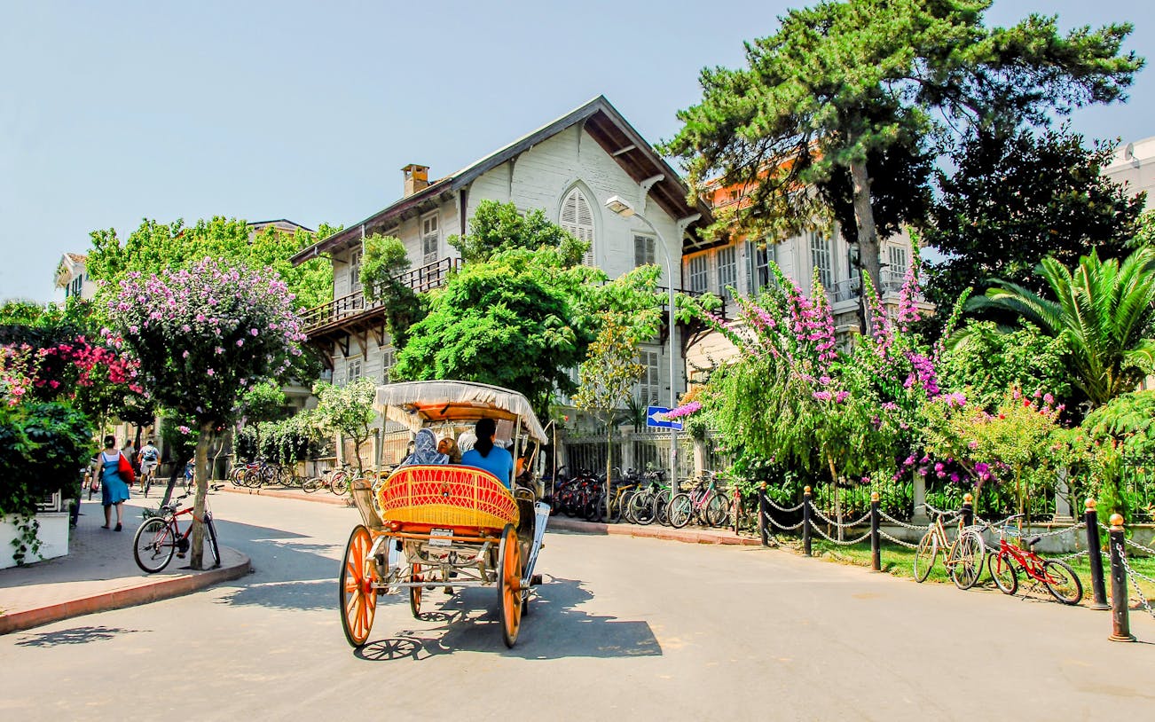 Horse-drawn carriage on a street in Buyukada, Princes Islands, Istanbul, with historic buildings and lush greenery.