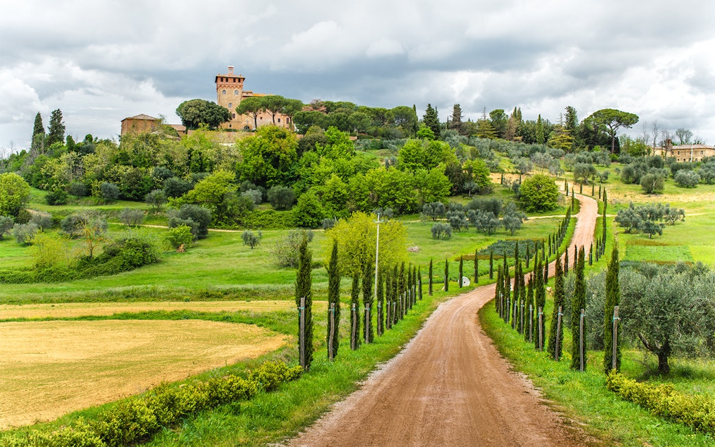 Dirt road leading to a villa surrounded by cypress trees in Chianti, Tuscany.