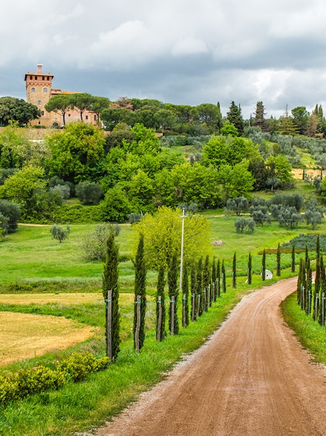 Dirt road leading to a villa surrounded by cypress trees in Chianti, Tuscany.