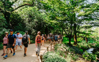 Group walking on a forest path during a nature walk in Puy du Fou, France.