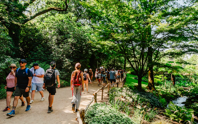 Group walking on a forest path during a nature walk in Puy du Fou, France.