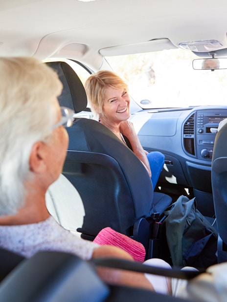 Private transfer to Tokyo Disney Resort with passengers enjoying the ride.