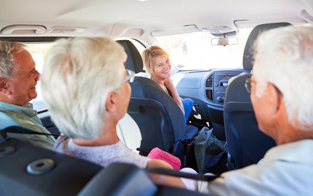 Private transfer to Tokyo Disney Resort with passengers enjoying the ride.