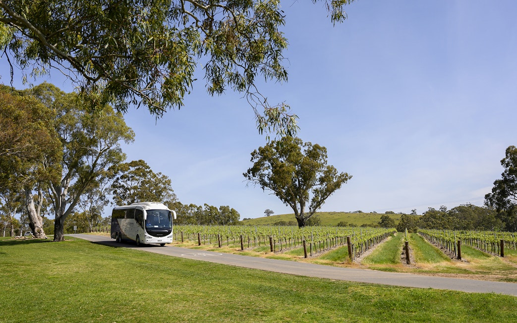 Tour bus driving through vineyards in McLaren Vale, South Australia.
