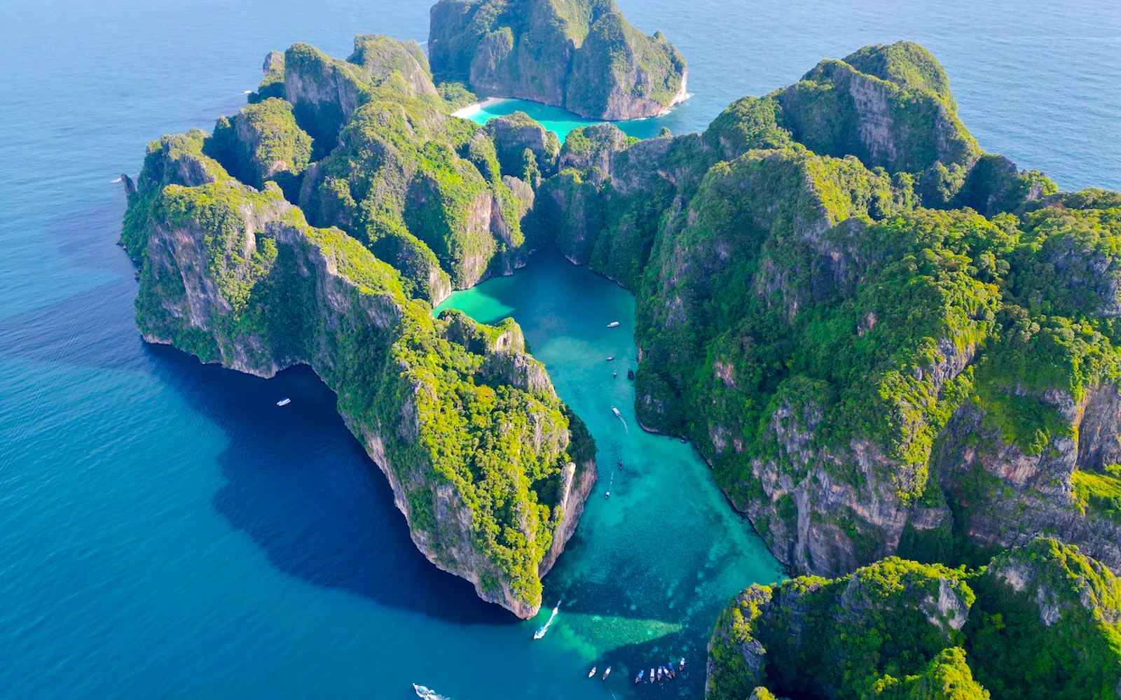 From Phuket: Phi Phi Islands Day Trip with Private Longtail Boat Tour Image 12