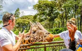 Visitors feeding a giraffe at Giraffe Centre, Nairobi.