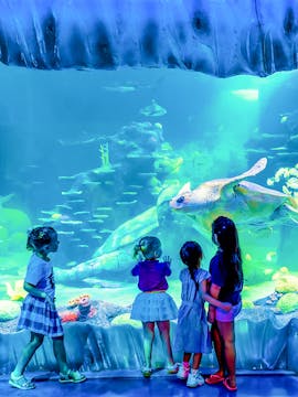 SEA LIFE Aquarium Tickets