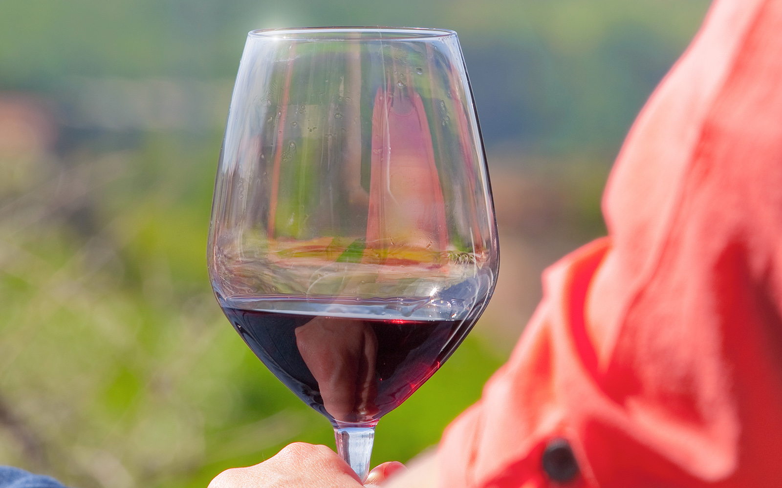 Loire Valley Wineries