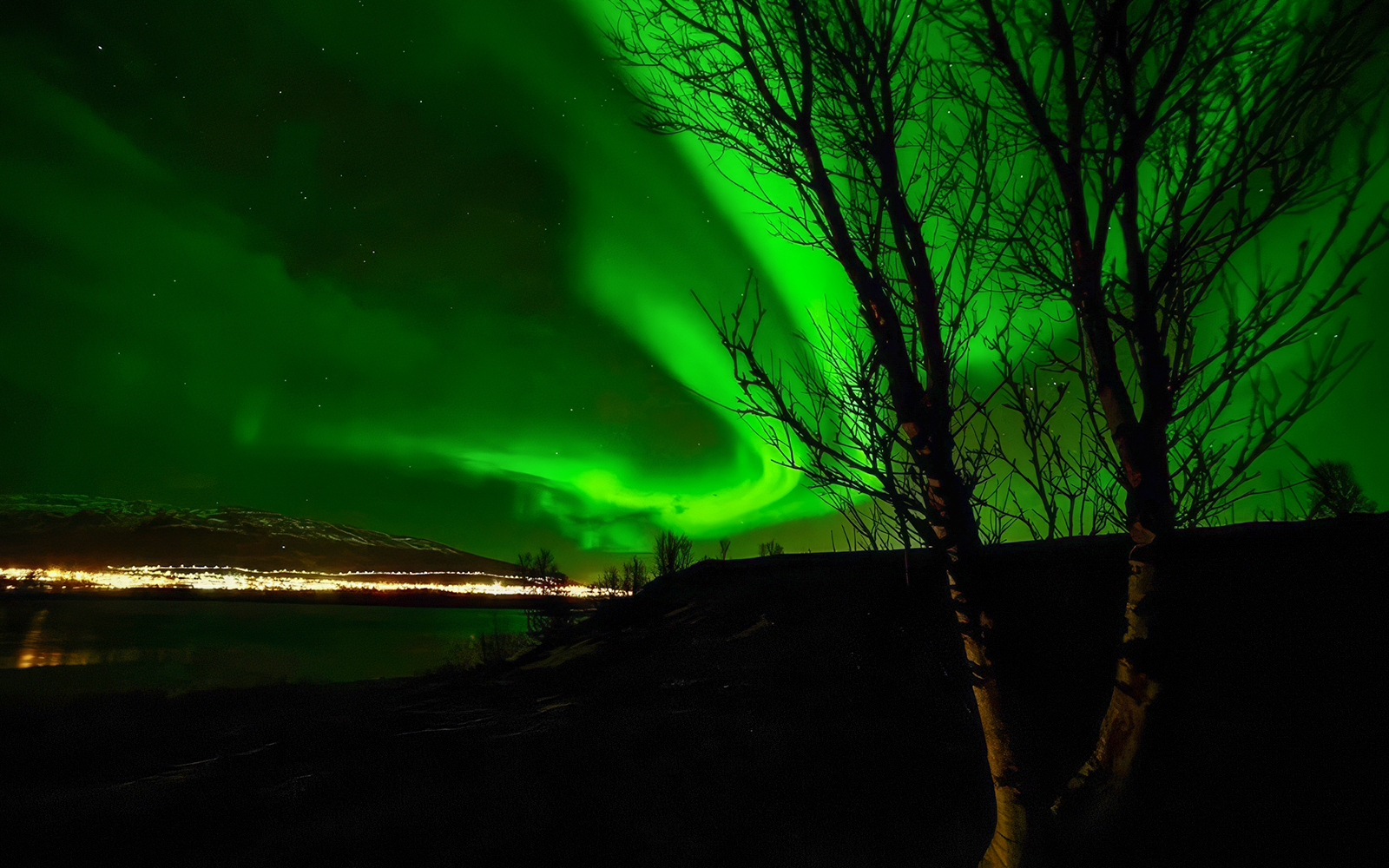 Aurora borealis over a cityscape with silhouetted trees, viewed during a VIP minivan tour.