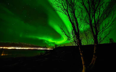 Aurora borealis over a cityscape with silhouetted trees, viewed during a VIP minivan tour.