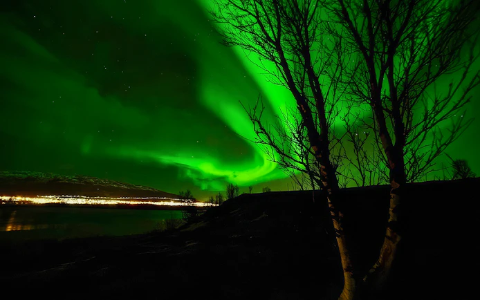 Aurora borealis over a cityscape with silhouetted trees, viewed during a VIP minivan tour.