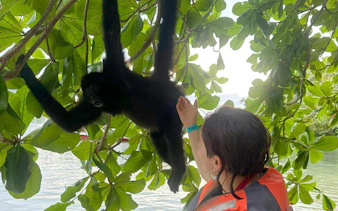 Person interacting with a monkey in a tree during Isla Mamey tour, Panama.