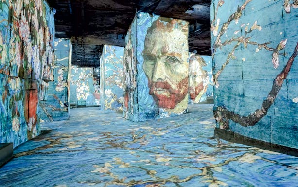 Van Gogh artwork projections at Carrières des Lumières exhibition, Paris, France.