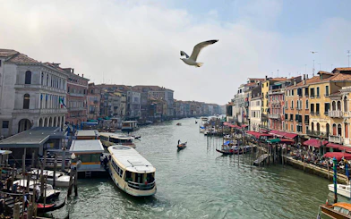 Grand Canal in Venice with boats and gondolas, view from a sightseeing cruise.