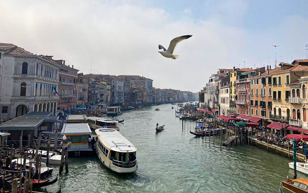 Grand Canal in Venice with boats and gondolas, view from a sightseeing cruise.