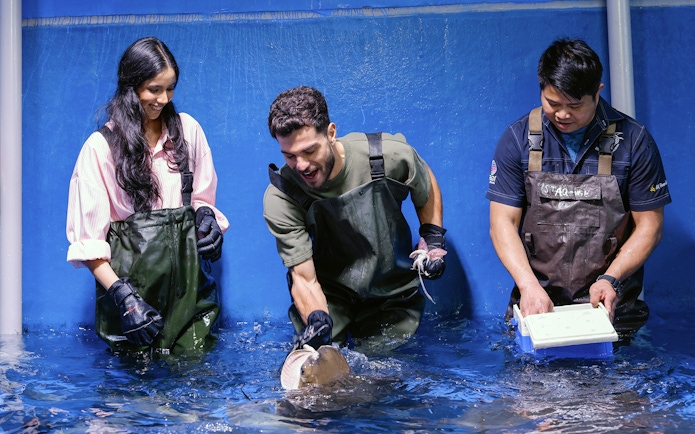 Visitors feeding rays at Dubai Aquarium's Underwater Zoo.
