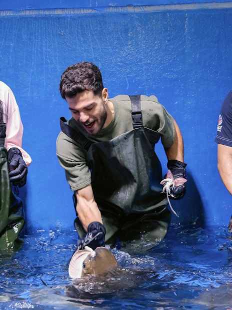 Visitors feeding rays at Dubai Aquarium's Underwater Zoo.