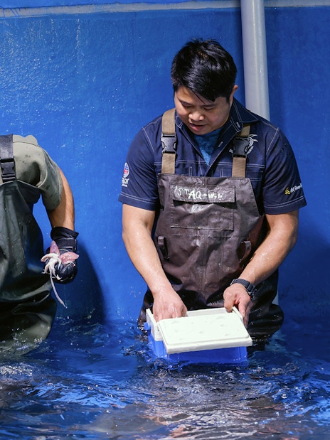 Visitors feeding rays at Dubai Aquarium's Underwater Zoo.