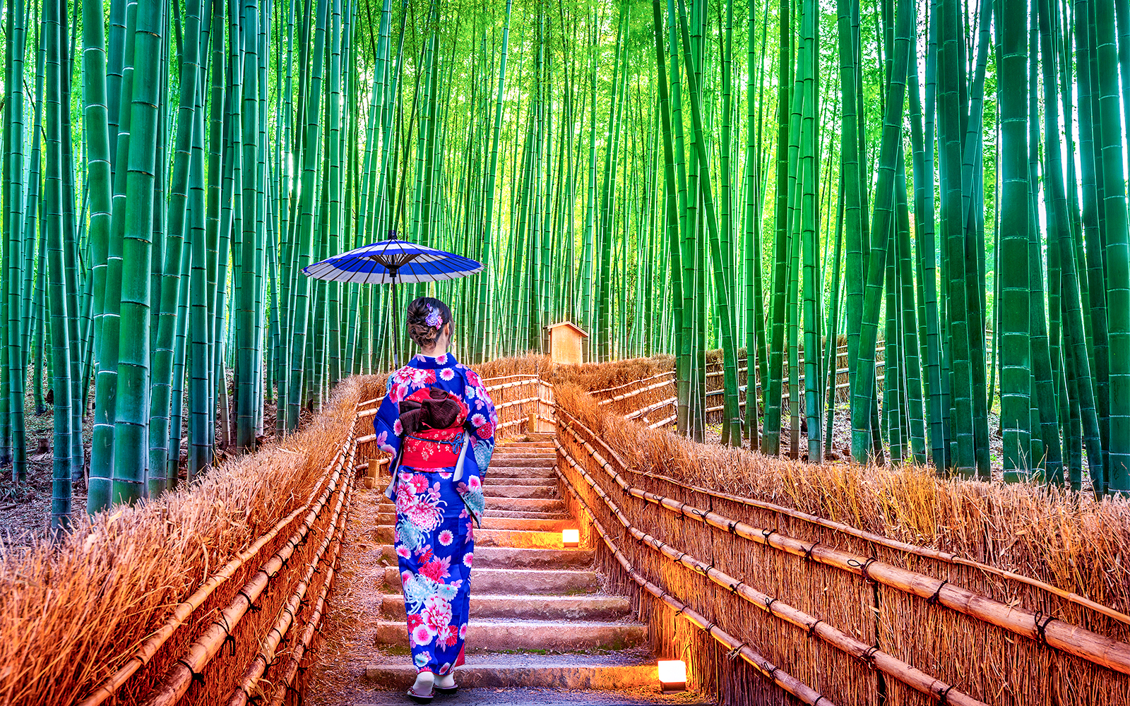 Bambouseraie d'Arashiyama 