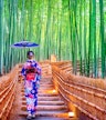 Arashiyama Bamboo Grove