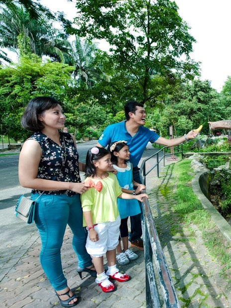 Tourists feeding an elephant at Zoo Negara, Malaysia.
