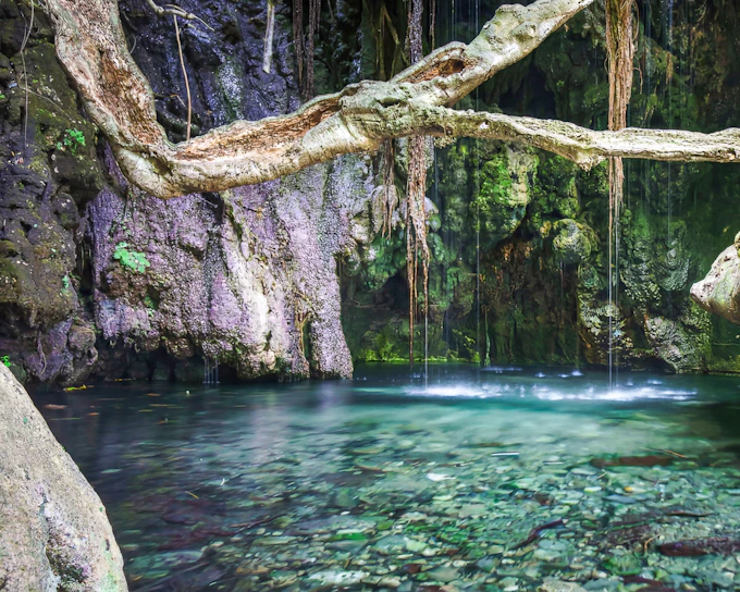 From Paphos: Blue Lagoon, Aphrodite's Baths & Sea Caves Day Trip