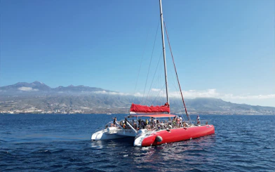 Tourists on a catamaran sailing towards Tenerife waters for whale and dolphin watching.