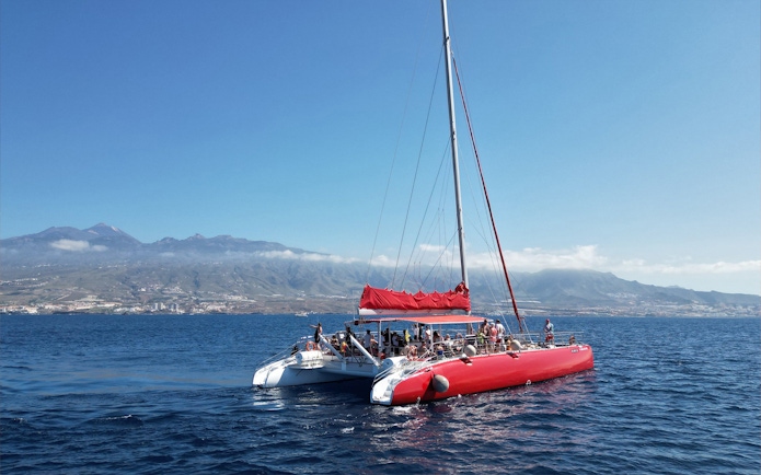 Tourists on a catamaran sailing towards Tenerife waters for whale and dolphin watching.