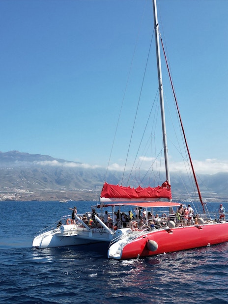 Tourists on a catamaran sailing towards Tenerife waters for whale and dolphin watching.