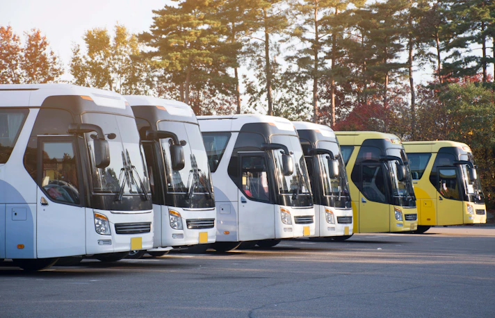 Transfer Buss 24x7 Amsterdam Airport Transfers | Best Prices, Wifi