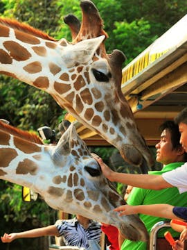 Nachtsafari Park Chiang Mai