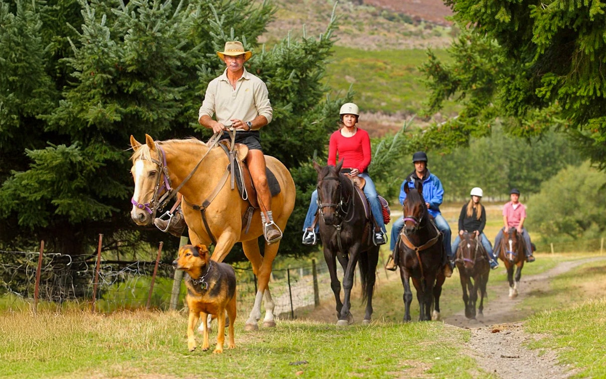Horse trekking group on trail in Walter Peak's rolling farmland.
