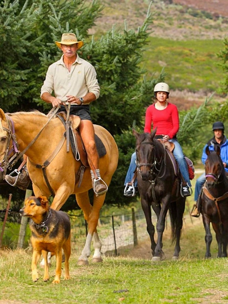 Horse trekking group on trail in Walter Peak's rolling farmland.