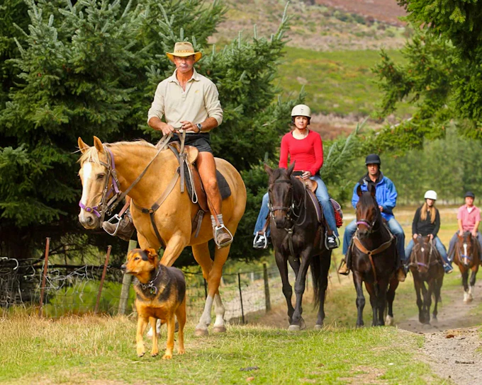 From Queenstown: TSS Earnslaw Cruise with Walter Peak Horse Trekking