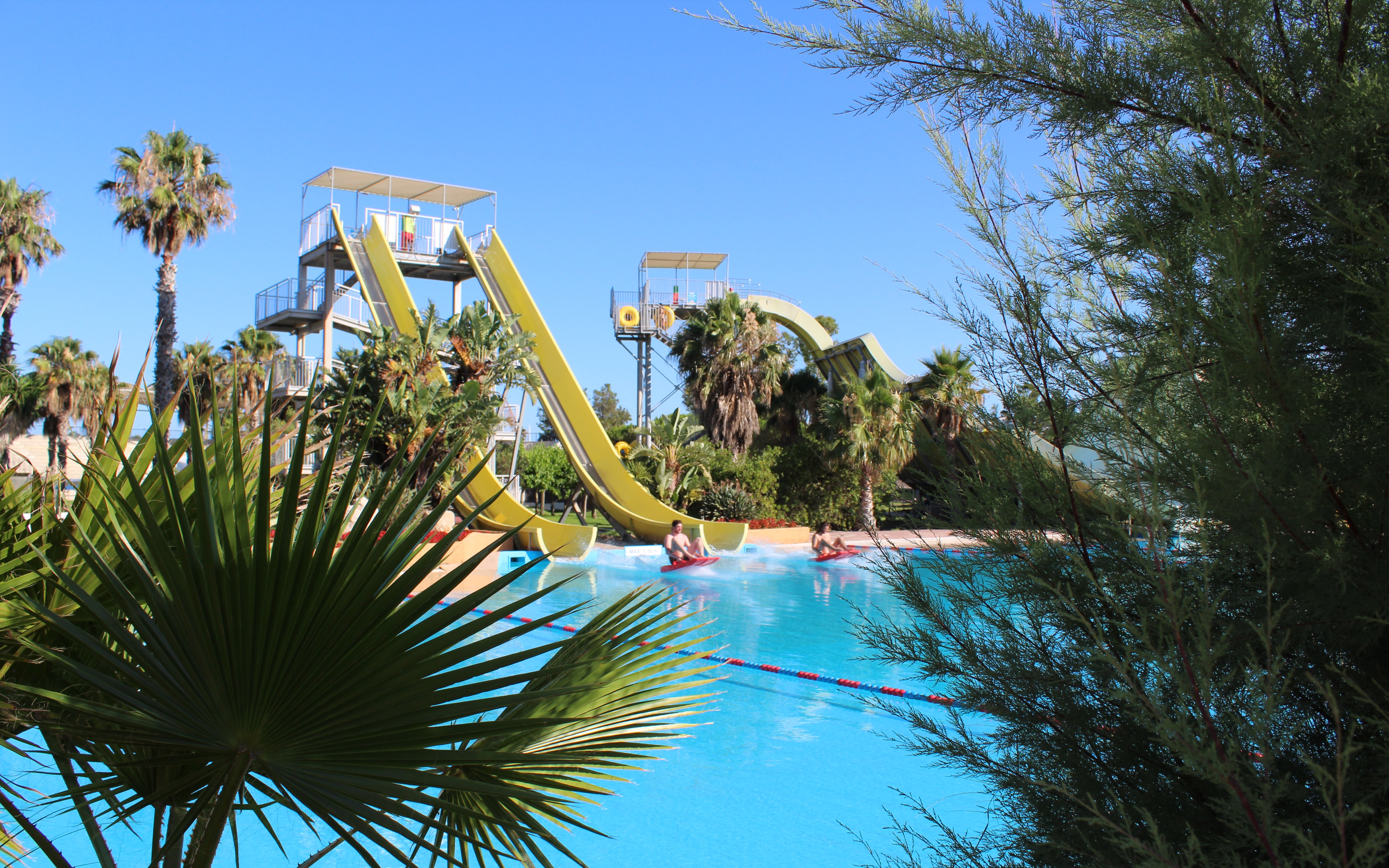 Water slides and pool at Aquopolis Costa Daurada, Tarragona, surrounded by palm trees.