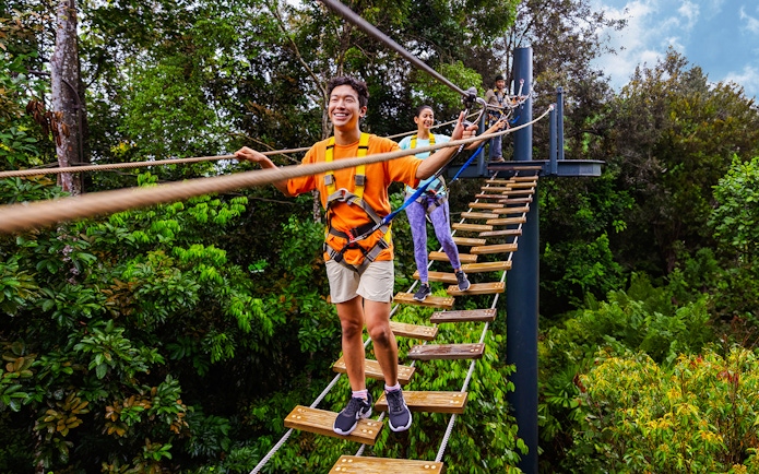 Visitors crossing a rope bridge at Wild Apex Adventure's Langur Observation Deck.