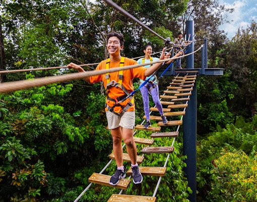 Visitors crossing a rope bridge at Wild Apex Adventure's Langur Observation Deck.