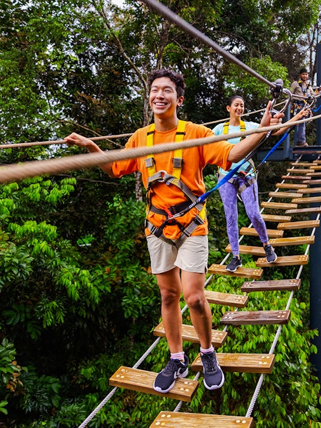 Visitors crossing a rope bridge at Wild Apex Adventure's Langur Observation Deck.