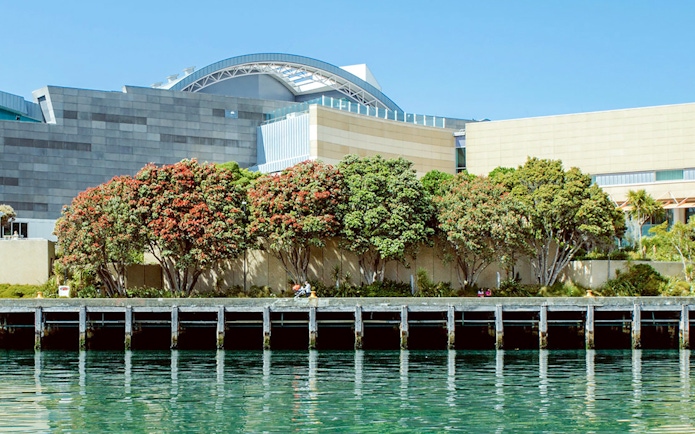 Museum of New Zealand Te Papa Tongarewa exterior with waterfront view.