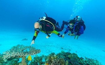 Scuba divers exploring coral reef in the Red Sea, Hurghada.