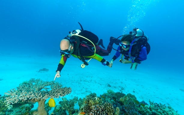 Scuba divers exploring coral reef in the Red Sea, Hurghada.
