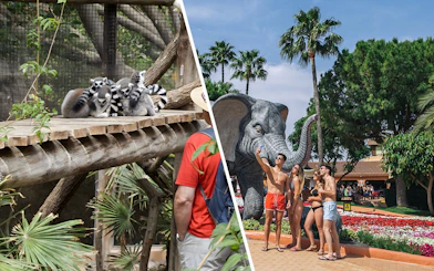Tourists observing lemurs and taking selfies near elephant statue at Jungle Park Tenerife.