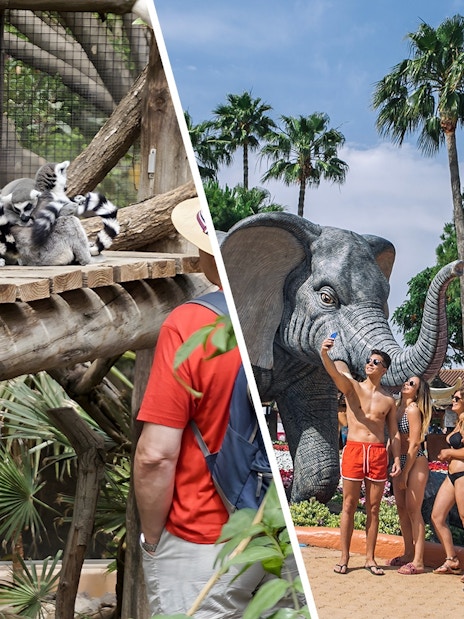 Tourists observing lemurs and taking selfies near elephant statue at Jungle Park Tenerife.