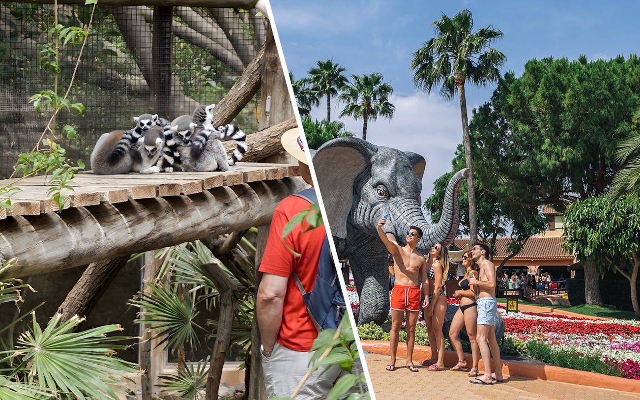 Tourists observing lemurs and taking selfies near elephant statue at Jungle Park Tenerife.