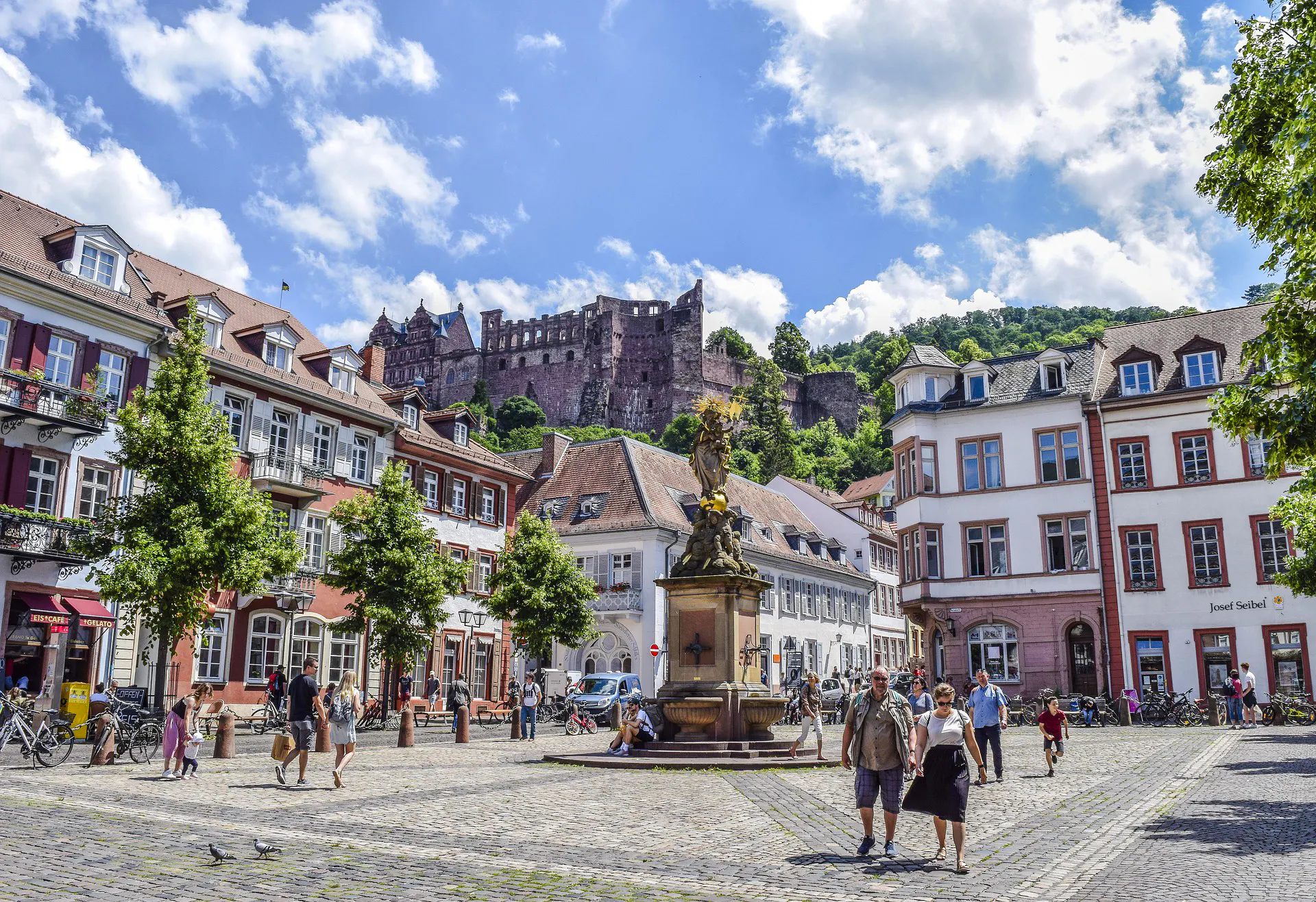 Heidelberg Old Town Private Walking Tour with Castle Entry