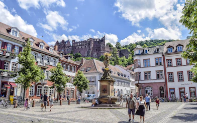 Heidelberg Old Town Private Walking Tour with Castle Entry