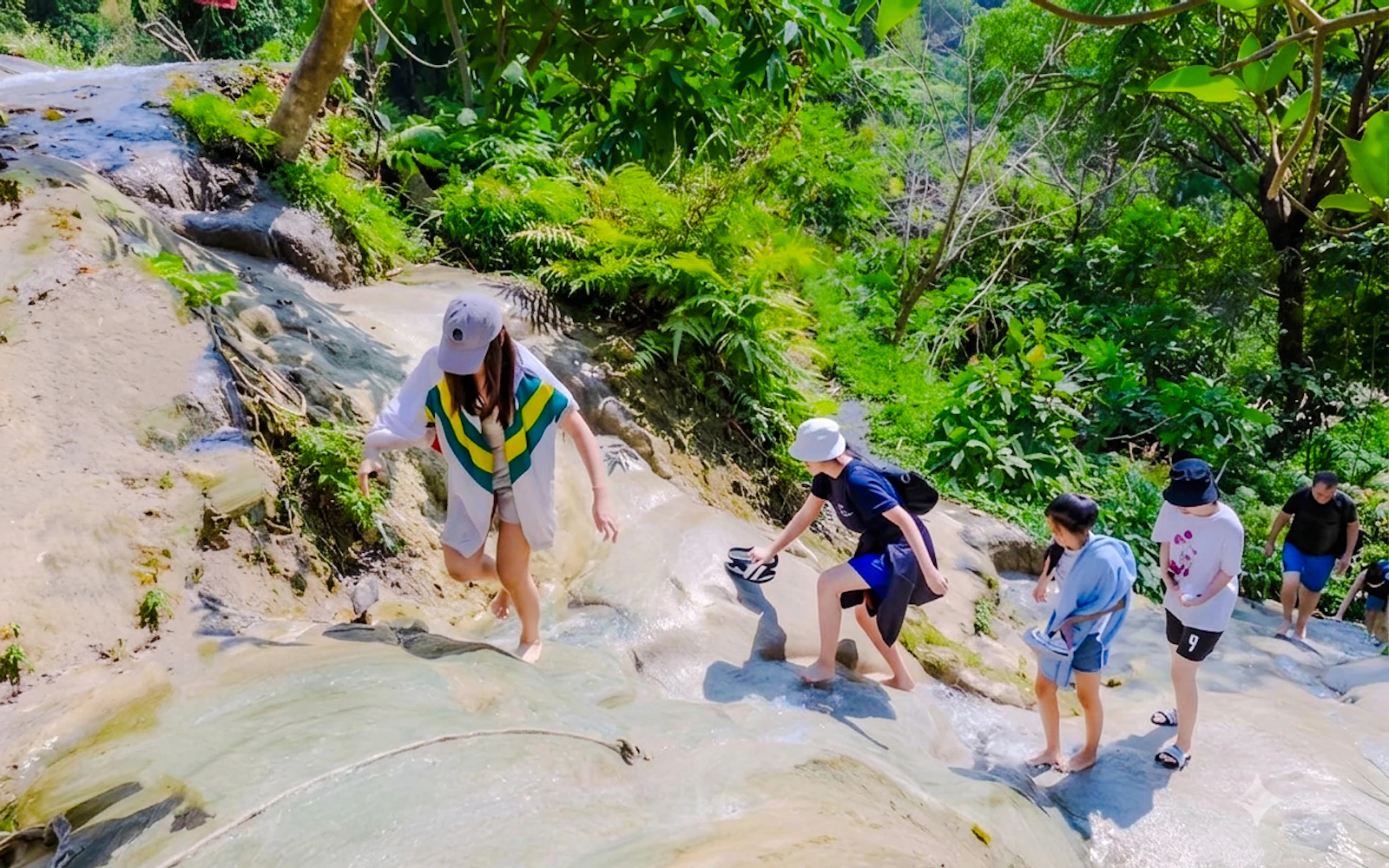 From Chiang Mai: Bua Thong Sticky Waterfalls and Chet Si Fountain Small-Group Tour Image 2