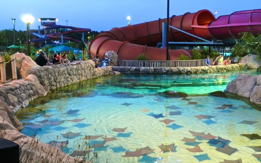 Stingrays swimming in a clear pool at Aquatica San Antonio, Texas with a waterslide in the background.